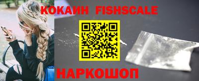 индика Можга