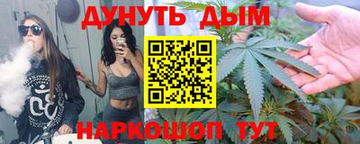 индика Можга
