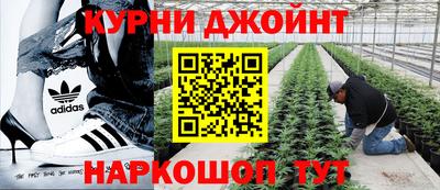 трава Моздок