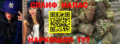 индика Можга