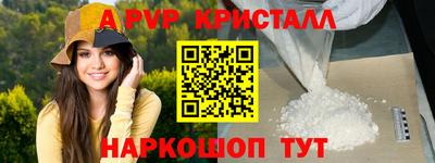 индика Можга